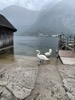 resIMG_20220613_132701_IMG_8824_HEIC.jpg